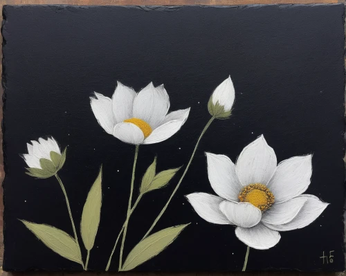 white cosmos,snowdrop anemones,flower painting,white water lilies,white anemones,lotus flowers,wood anemones,white lily,white daisies,white tulips,lillies,lilies,tulip white,minimalist flowers,tulipa,star magnolia,white magnolia,lotus blossom,avalanche lily,white water lily,Illustration,Abstract Fantasy,Abstract Fantasy 15
