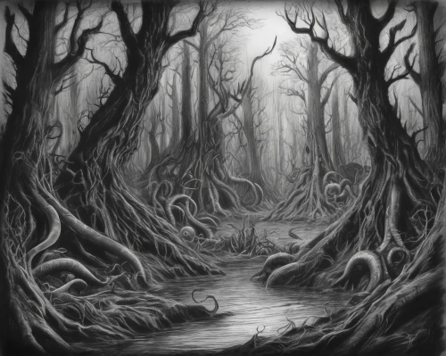 haunted forest,swampy landscape,elven forest,ghost forest,forest dark,forest glade,hollow way,enchanted forest,forest landscape,devilwood,swamp,the forest,the forests,forest background,old-growth forest,tree grove,druid grove,the woods,forest floor,forest path,Illustration,Realistic Fantasy,Realistic Fantasy 47