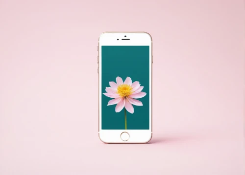 floral mockup,pink floral background,minimalist flowers,floral digital background,chrysanthemum background,floral background,flower background,japanese floral background,white floral background,tropical floral background,paper flower background,wood daisy background,dribbble,retro flower silhouette,watercolor floral background,flower wall en,japanese sakura background,sakura background,flowers png,tulip background,Conceptual Art,Daily,Daily 10
