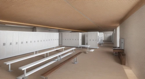 school design,school benches,locker,hallway space,dugout,lecture hall,gymnastics room,hallway,ceiling ventilation,lecture room,kennel,daylighting,vault (gymnastics),corridor,canteen,examination room,ceiling construction,changing rooms,cafeteria,empty hall,Common,Common,Natural
