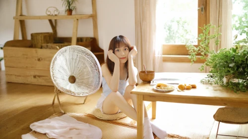 electric fan,mechanical fan,decorative fan,korean fan dance,fan,hand fan,ventilation fan,air purifier,japanese fans,staying indoors,japanese doll,air conditioner,color fan,realdoll,dollfie,ceiling-fan,青龙菜,fan leaf,doll looking in mirror,mosquito net