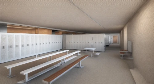 school design,locker,hallway space,3d rendering,hallway,school benches,dugout,3d rendered,lecture hall,render,3d render,gymnastics room,kennel,daylighting,sky space concept,lecture room,corridor,capsule hotel,examination room,compartment,Common,Common,Natural