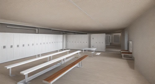 school design,locker,3d rendering,hallway space,3d rendered,render,lecture hall,3d render,gymnastics room,dugout,hallway,kennel,dormitory,examination room,sky space concept,lecture room,school benches,empty hall,3d model,class room,Common,Common,Natural