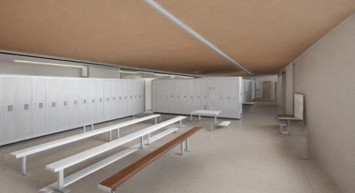 school design,hallway space,locker,3d rendering,gymnastics room,kennel,capsule hotel,dugout,ceiling ventilation,school benches,walk-in closet,lecture hall,examination room,render,vault (gymnastics),storage cabinet,3d rendered,3d render,hallway,aircraft cabin,Common,Common,Natural