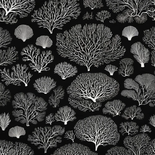 plant veins,stony coral,fruit pattern,qin leaf coral,leaf pattern,mandelbulb,neurons,cabbage leaves,tropical leaf pattern,carrot pattern,seaweeds,mushroom landscape,botanical print,fungi,embroidered leaves,seamless pattern,trees with stitching,black and white pattern,textile,japanese patterns,Photography,Documentary Photography,Documentary Photography 31