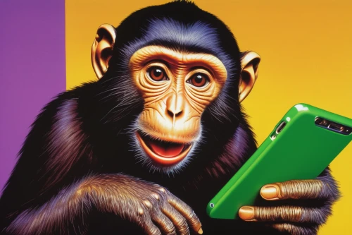 chimpanzee,mobile banking,common chimpanzee,monkeys band,mobile phone,mobile phone battery,e-mobile,great apes,cellular phone,telecommunications engineering,primate,mobile phones,smartphone,chimp,primates,i phone,feature phone,ape,mobile phone accessories,smart phone,Conceptual Art,Daily,Daily 19