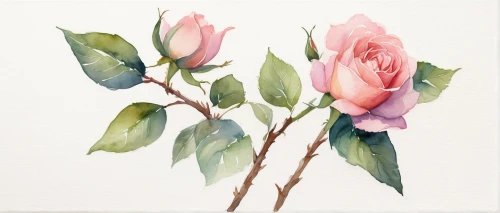 watercolor roses,watercolor roses and basket,watercolor flowers,watercolor floral background,rose flower illustration,watercolour flowers,watercolor painting,watercolor,watercolor flower,watercolor background,watercolor pencils,watercolour flower,watercolor paint,rose buds,camellias,watercolor paper,rosebuds,flower painting,garden roses,watercolor sketch,Conceptual Art,Fantasy,Fantasy 09