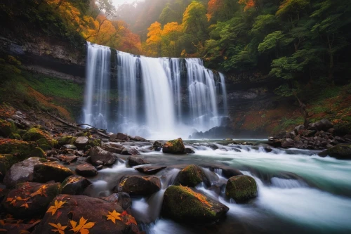 brown waterfall,wasserfall,bridal veil fall,waterfalls,water falls,ash falls,cascading,flowing water,bond falls,water fall,oregon,waterfall,rushing water,falls,green waterfall,water flow,autumn in japan,ilse falls,falls of the cliff,water flowing,Conceptual Art,Daily,Daily 03