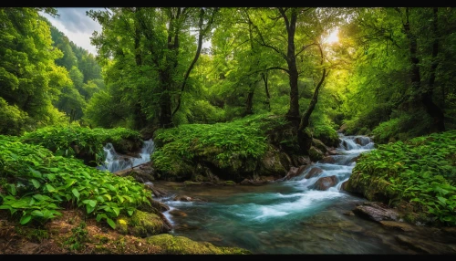 green waterfall,green trees with water,mountain stream,green forest,green landscape,tropical and subtropical coniferous forests,riparian forest,flowing creek,river landscape,mountain spring,artvin,slovenia,plitvice,elven forest,flowing water,rain forest,valdivian temperate rain forest,natural scenery,nature landscape,mountain river,Art,Classical Oil Painting,Classical Oil Painting 21