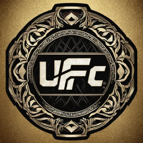 ufc,mma,striking combat sports,mixed martial arts,combat sport,jeet kune do,siam fighter,logo header,octagon,pankration,gold foil 2020,life stage icon,supersonic fighter,download icon,fire logo,the logo,mobile video game vector background,lethwei,sanshou,brazilian jiu-jitsu,Illustration,Realistic Fantasy,Realistic Fantasy 41