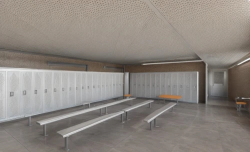 school design,locker,lecture hall,hallway space,dugout,lecture room,empty hall,kennel,school benches,3d rendering,rest room,changing rooms,examination room,hallway,gymnastics room,empty interior,changing room,conference room,the bus space,study room,Common,Common,Natural