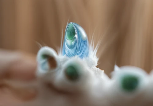 peacock feathers,peacock feather,peacock eye,parrot feathers,swan feather,bristles,close up stamens,pigeon feather,macrophoto,white feather,contact lens,surface lure,peacock,beak feathers,bird feather,feather,depth of field,toy photos,splendens,toothbrush,Material,Material,Manchurian Ash