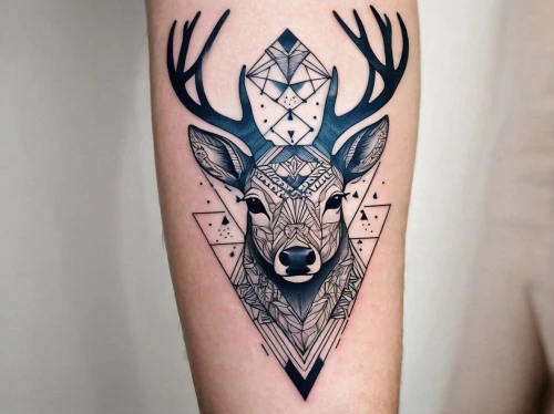 dotted deer,deer in tears,deer illustration,young-deer,pere davids deer,deer,stag,manchurian stag,deer bull,winter deer,european deer,deer head,pere davids male deer,male deer,forearm,fawn,buffalo plaid deer,deers,fawns,black doe,Conceptual Art,Daily,Daily 11