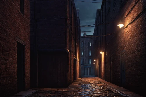alleyway,old linden alley,alley,narrow street,blind alley,the cobbled streets,medieval street,cobblestone,alley cat,laneway,cobble,street canyon,rescue alley,birch alley,lamplighter,cobblestones,hollow way,narrow,the street,street lights,Conceptual Art,Daily,Daily 27
