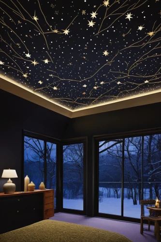 starry sky,ceiling lighting,starry night,ceiling light,constellations,sky space concept,the night sky,sleeping room,ceiling construction,stucco ceiling,night sky,great room,starry,the ceiling,ceiling lamp,nightsky,meteor shower,hanging stars,ceiling fixture,star chart,Illustration,Vector,Vector 13