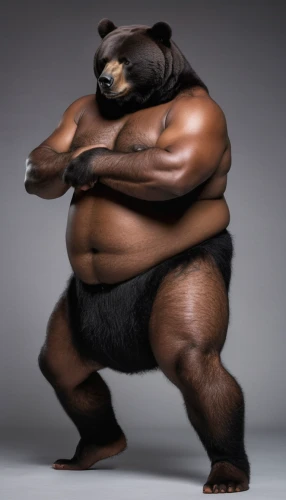 nordic bear,sumo wrestler,bear,judo,bear market,strongman,ape,kung fu,slothbear,pandoro,plus-size model,gorilla,great bear,kong,kung,pubg mascot,unit,fat,silverback,greek,Photography,General,Natural