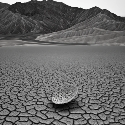 dry lake,badwater basin,arid landscape,arid,salt-flats,badwater,death valley,desertification,surface tension,mojave desert,arid land,stone desert,mojave,capture desert,drop of water,saltpan,a drop of water,salt desert,desert desert landscape,venus surface,Photography,Black and white photography,Black and White Photography 03