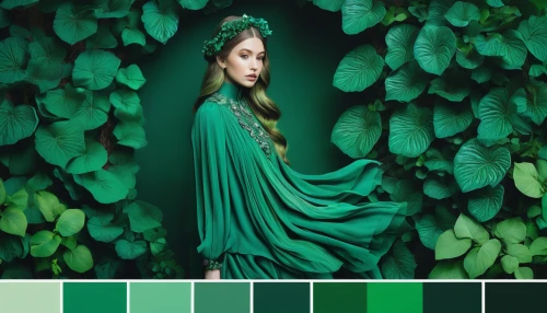 color palette,green and white,dark green,fir green,sage color,green wallpaper,green,green mermaid scale,color background,green background,sage green,green and blue,emerald,tropical greens,chlorophyll,pantone,color picker,leaf green,green aurora,green border,Photography,Artistic Photography,Artistic Photography 12