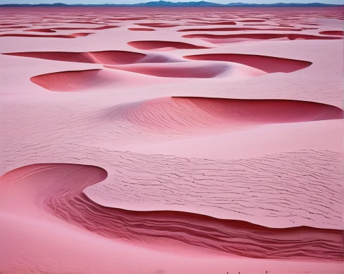 coral pink sand dunes,pink sand dunes,libyan desert,namib desert,argentina desert,namib,salt desert,sossusvlei,red sand,atacama desert,flowerful desert,pink beach,admer dune,desert desert landscape,namibia,dead vlei,red earth,gobi desert,arid landscape,namibia nad,Photography,Documentary Photography,Documentary Photography 28