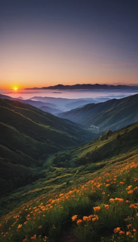 carpathians,mountain sunrise,the mongolian-russian border mountains,ore mountains,the mongolian and russian border mountains,bieszczady,the russian border mountains,nature of mongolia,foggy landscape,beautiful landscape,northern black forest,lebanon,landscape photography,romania,landscape background,caucasus,landscapes beautiful,brecon beacons,altyn-emel national park,inner mongolian beauty,Illustration,Vector,Vector 02