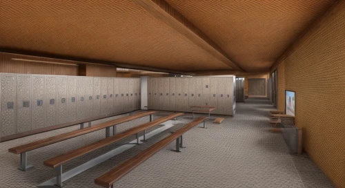 school design,locker,lecture hall,3d rendering,hallway space,gymnastics room,hallway,dugout,kennel,school benches,vault (gymnastics),render,empty hall,changing rooms,3d rendered,lecture room,ceiling construction,subway station,3d render,hall,Common,Common,Natural