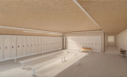 school design,lecture hall,lecture room,hallway space,daylighting,3d rendering,gymnastics room,dugout,core renovation,ceiling construction,conference room,archidaily,examination room,study room,plywood,box ceiling,locker,under-cabinet lighting,walk-in closet,render,Common,Common,Natural