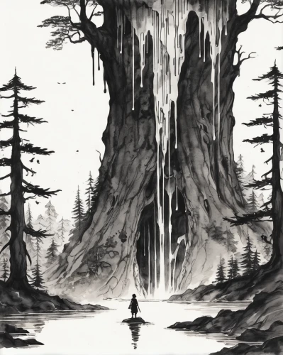 old-growth forest,devilwood,spruce forest,redwood,redwoods,haunted forest,the forests,the forest,big trees,swampy landscape,redwood tree,forests,ghost forest,the trees,elven forest,forest,ash falls,of trees,druid grove,forest tree,Illustration,Black and White,Black and White 34