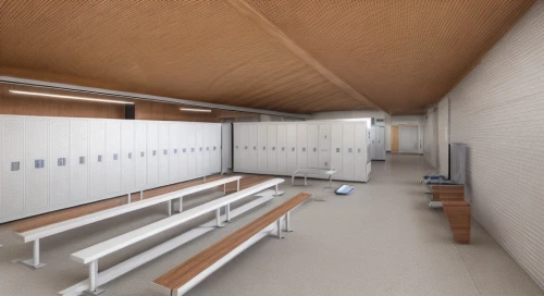school design,hallway space,locker,3d rendering,hallway,school benches,gymnastics room,dugout,lecture hall,changing rooms,render,empty hall,hall,ceiling construction,kennel,3d rendered,3d render,lecture room,ceiling ventilation,examination room,Common,Common,Natural