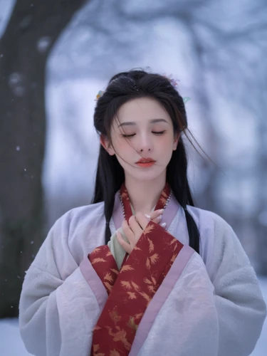 mulan,hanbok,rou jia mo,inner mongolian beauty,suit of the snow maiden,geisha,japanese woman,xiaochi,xing yi quan,korean culture,xizhi,korean drama,the snow queen,青龙菜,hwachae,siu mei,mukimono,xuan lian,麻辣,shuanghuan noble