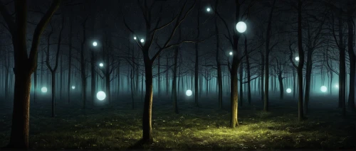 fireflies,elven forest,fairy forest,enchanted forest,forest of dreams,ambient lights,forest dark,forest glade,haunted forest,cartoon forest,fairy lanterns,nightlight,foggy forest,forest background,landscape lighting,the forest,light of night,lights serenade,forest,glowworm,Illustration,Realistic Fantasy,Realistic Fantasy 17