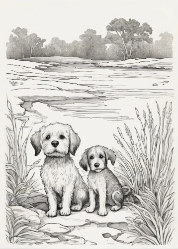 dog illustration,shih poo,two dogs,cavapoo,companion dog,shih-poo,dog line art,norfolk terrier,otters,vintage illustration,shih tzu,hunting dogs,lithograph,havanese,rescue dogs,walking dogs,three dogs,two running dogs,dog siblings,puppies,Illustration,Black and White,Black and White 29