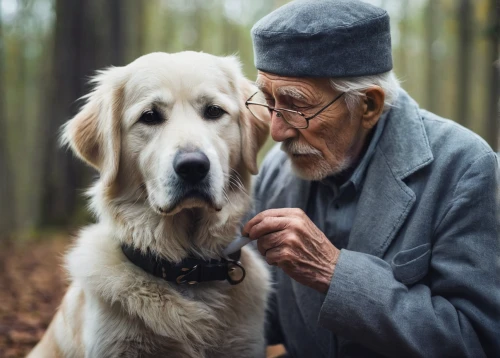 old couple,care for the elderly,elderly man,old age,companionship,companion dog,pensioner,grandpa,grandfather,caregiver,elderly people,elder,mans best friend,elderly person,old man,older person,elderly,old dog,old human,senior citizen,Photography,Documentary Photography,Documentary Photography 30