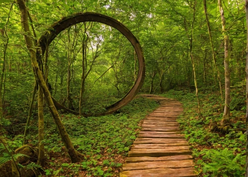 semi circle arch,stargate,aaa,wooden rings,round arch,the mystical path,wooden wheel,aa,rim of wheel,crooked forest,old wooden wheel,bicycle wheel,epicycles,circle around tree,tree top path,dharma wheel,life is a circle,nature trail,permaculture,forest path,Photography,Documentary Photography,Documentary Photography 33