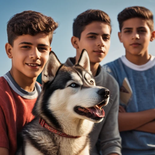 dog photography,dog-photography,wolves,huskies,color dogs,three dogs,canines,karakachan dog,dog breed,family dog,gap kids,street dogs,wolf pack,giant dog breed,dog pure-breed,bully kutta,dog sports,rescue dogs,boy and dog,pet adoption,Photography,General,Natural