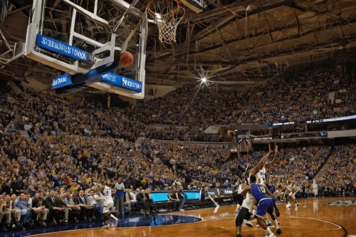 basketball,women's basketball,outdoor basketball,zion,backboard,woman's basketball,the hive,no call,length ball,the block,riley two-point-six,march madness,the court,basket,basket wicker,running clock,riley one-point-five,out of bounds,banners,cauderon,Illustration,Realistic Fantasy,Realistic Fantasy 40