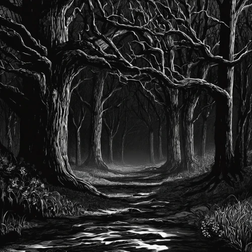 haunted forest,the dark hedges,forest dark,hollow way,swampy landscape,elven forest,dark art,dark park,the woods,the forest,halloween bare trees,enchanted forest,tree grove,forest glade,black forest,black landscape,dark world,devilwood,forest path,forest road,Illustration,Paper based,Paper Based 15