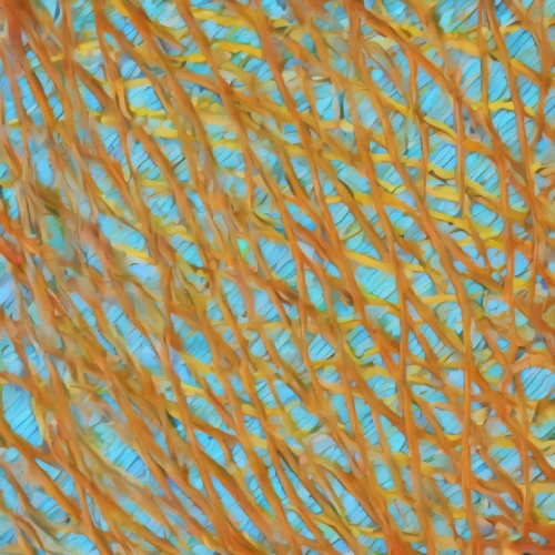 feather coral,mushroom coral,neurons,nerve cell,plant veins,macrocystis pyrifera,coral fungus,soft coral,connective tissue,escherichia coli,meadow coral,coral,fibers,soft corals,leaf veins,stony coral,charophyta,euphyllia paraancora,coral fish,leaf structure,Photography,General,Natural