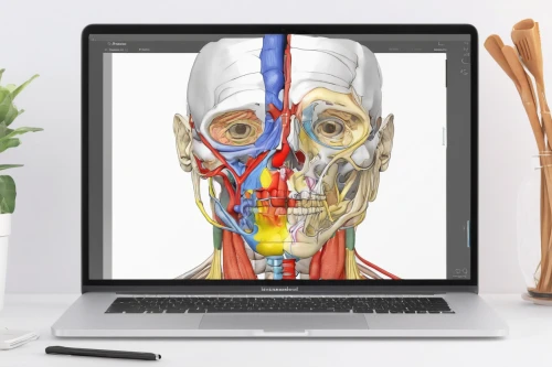 medical illustration,computed tomography,computer tomography,anatomical,medical imaging,medical concept poster,medical radiography,magnetic resonance imaging,electronic medical record,skeletal structure,3d modeling,medical technology,computer graphics,3d model,skeletal,human body anatomy,human anatomy,connective tissue,online course,tromsurgery,Art,Classical Oil Painting,Classical Oil Painting 06