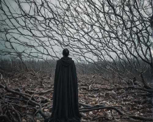 the witch,cloak,witch broom,ghost forest,creepy tree,hooded man,gothic dress,witch house,dark gothic mood,gothic woman,dead wood,scythe,witch's hat,scarecrow,grimm reaper,haunted forest,desolation,dark art,devil's walkingstick,wither,Photography,Documentary Photography,Documentary Photography 23