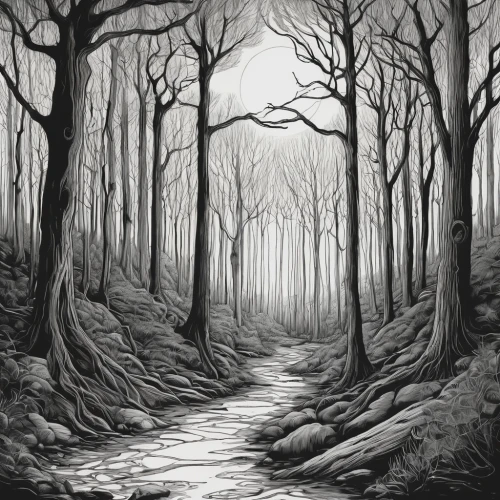 forest path,hollow way,haunted forest,forest road,forest landscape,forest dark,winter forest,forest glade,halloween bare trees,the woods,forest walk,deciduous forest,enchanted forest,the forest,copse,birch forest,tree grove,elven forest,forest background,the mystical path,Illustration,Realistic Fantasy,Realistic Fantasy 07