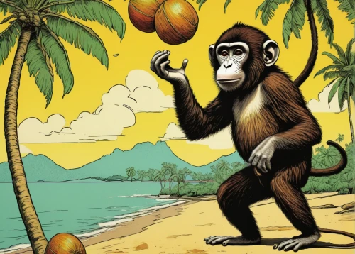 monkey island,monkey banana,great apes,monkeys band,barbary monkey,crab-eating macaque,monkey gang,chimpanzee,ape,primate,monkey,king coconut,the monkey,cercopithecus neglectus,primates,coconuts on the beach,chimp,kong,common chimpanzee,gorilla,Art,Classical Oil Painting,Classical Oil Painting 30
