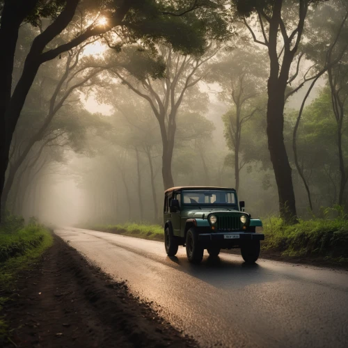land rover series,land-rover,land rover,rwanda,premier padmini,jeep wagoneer,willys-overland jeepster,old vehicle,w112,vintage vehicle,fiat 600,forest road,vintage car,land rover defender,old car,morning mist,jeep,road forgotten,volvo amazon,kerala,Photography,General,Cinematic