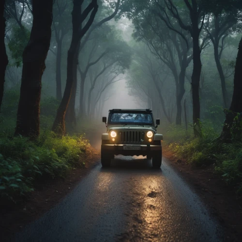 land rover defender,land rover series,land-rover,land rover,tata safari,land rover discovery,snatch land rover,mercedes-benz g-class,jeep wrangler,forest road,jeep wagoneer,jeep,willys-overland jeepster,safari,jeep rubicon,defender,monsoon,jeep dj,jeep gladiator,automotive fog light,Photography,General,Cinematic