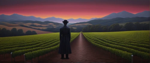winemaker,vineyards,vineyard,wine region,winegrowing,castle vineyard,pinot noir,grape plantation,wine country,wine harvest,viticulture,passion vines,tulip fields,winery,grapevines,fruit fields,grapes goiter-campion,tulip field,cultivated field,young wine,Conceptual Art,Daily,Daily 22