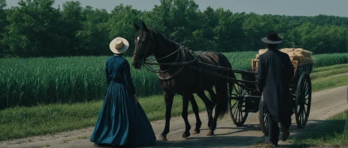 riderless,amish,the order of the fields,carriage,pilgrims,mennonite heritage village,pilgrimage,horseman,horseback,scythe,straw cart,the victorian era,swath,western film,long dress,blue pushcart,horse and buggy,miss circassian,cross-country equestrianism,amish hay wagons,Photography,Documentary Photography,Documentary Photography 08