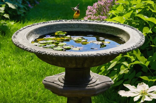 bird bath,garden pond,decorative fountains,stone fountain,fountain pond,water feature,floor fountain,fountain,august fountain,moor fountain,lily pond,maximilian fountain,old fountain,lilly pond,village fountain,garden pot,wishing well,water fountain,pond flower,water trough,Art,Artistic Painting,Artistic Painting 04