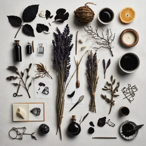 still life photography,flat lay,flatlay,assemblage,summer flat lay,foragers,food styling,herbarium,autumn still life,assortment,apothecary,beachcombing,christmas flat lay,herbal medicine,raw materials,objects,still life,potpourri,snowy still-life,components,Unique,Design,Knolling