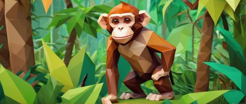 monkey island,uakari,tamarin,orang utan,long tailed macaque,barbary monkey,madagascar,monkey,primate,bonobo,monkey banana,tarzan,macaque,white-fronted capuchin,chimpanzee,ape,orangutan,primates,the monkey,tufted capuchin,Unique,3D,Low Poly