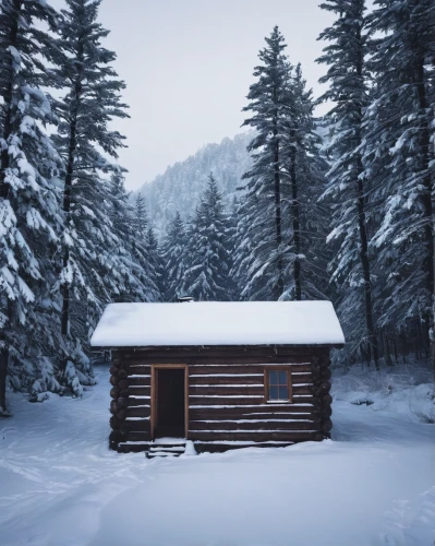 winter house,snow shelter,log cabin,small cabin,snow house,mountain hut,the cabin in the mountains,wooden hut,log home,alpine hut,snowhotel,snow roof,cabin,timber house,wood doghouse,wooden house,shed,nordic christmas,snowed in,sheds,Photography,Documentary Photography,Documentary Photography 30