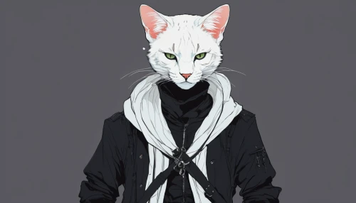 white cat,oriental shorthair,overcoat,feline look,white coat,jacket,young cat,coat,imperial coat,old coat,the cat,feline,stray cat,gray cat,cat child,outerwear,domestic cat,summer coat,long coat,hoodie,Illustration,Paper based,Paper Based 19